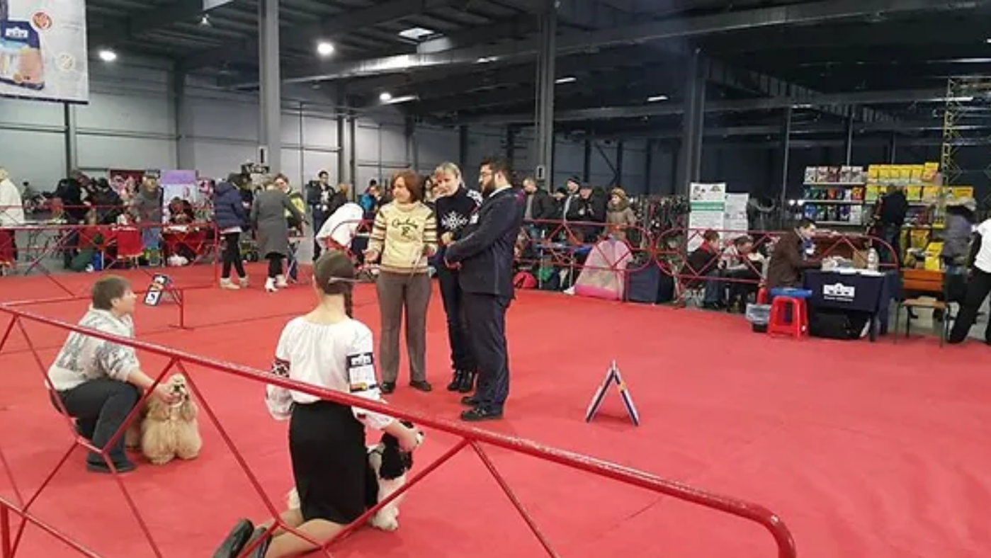 World Expert Judges