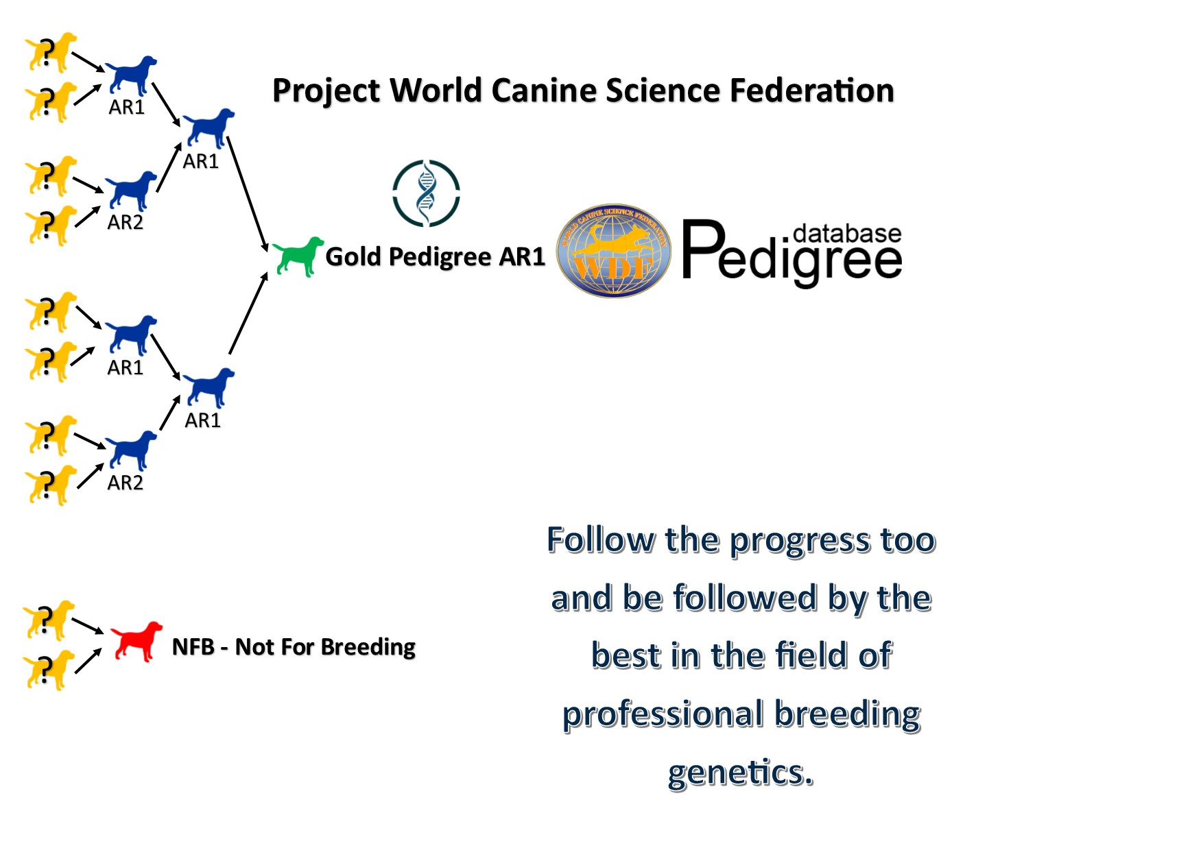 Genetics Project