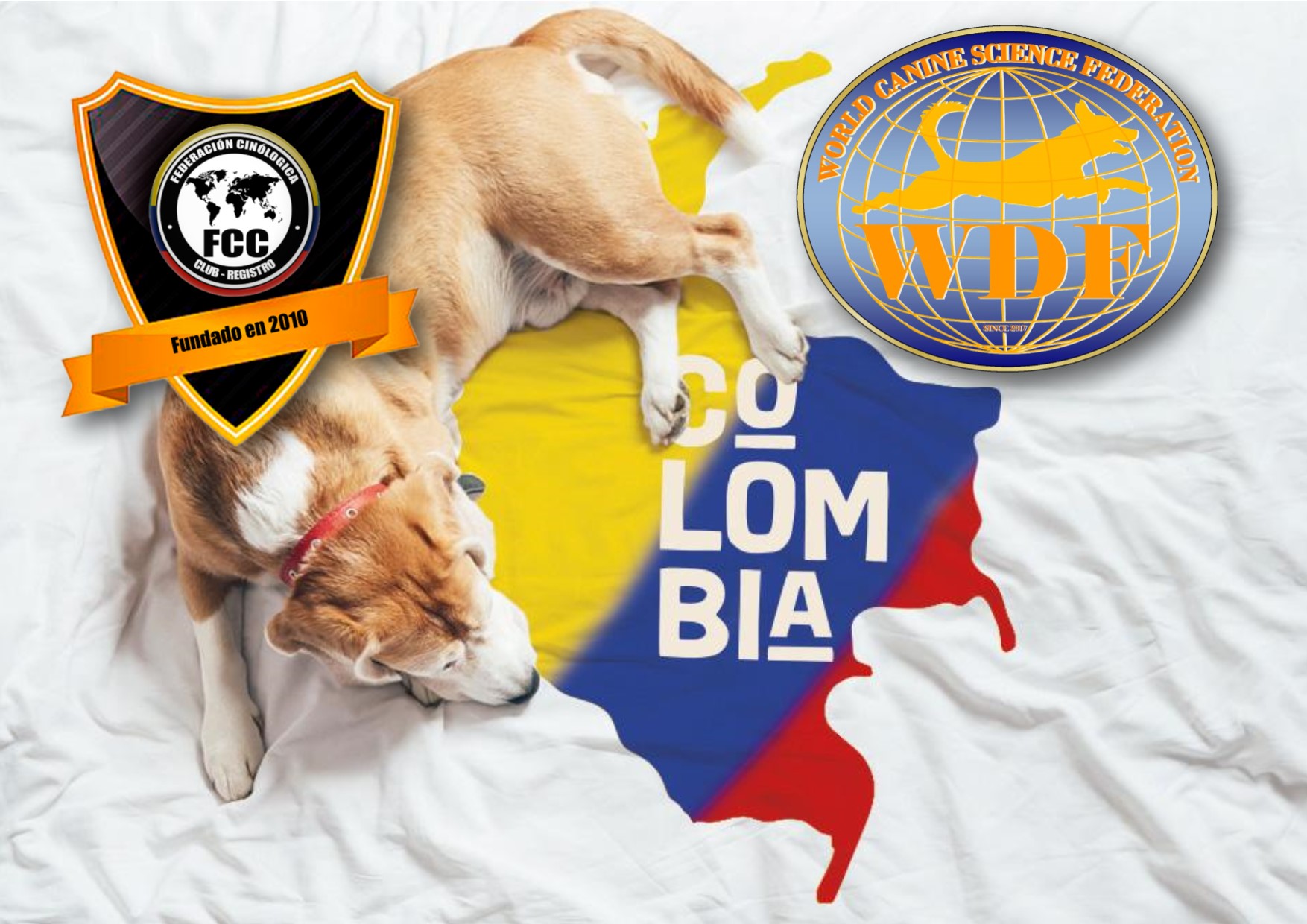 Colombia has chosen to join the WDF