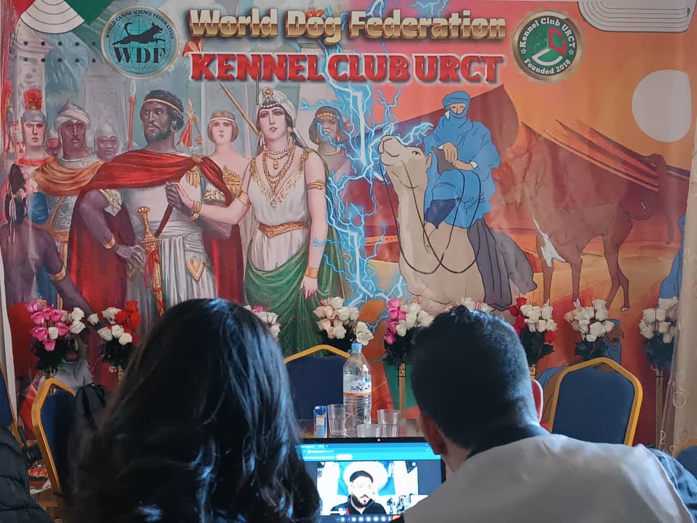 Judges Exams in Algeria