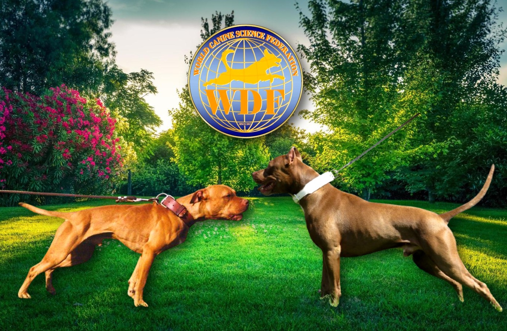 WDF Standard on APBT