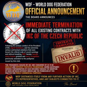 The expulsion of the IKC club of the Czech Republic is reported for very serious contractual violations of the code of ethics, and for the lack of adequate zootechnical checks to safeguard canine breeds, for violating the registers by continuously introducing canine crossbreeds, creating a serious trigger for compromised breeds.